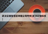 武汉云链智慧区块链公司咋样[武汉云链科技]